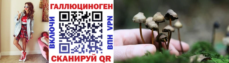 Псилоцибиновые грибы мицелий  Солигалич 