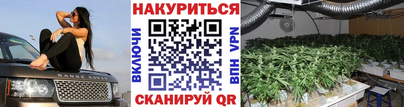 mega как войти Солигалич Бошки Шишки планчик купить